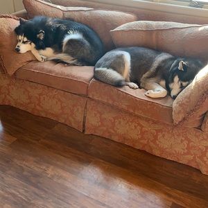 Meet your Posher, Simonia